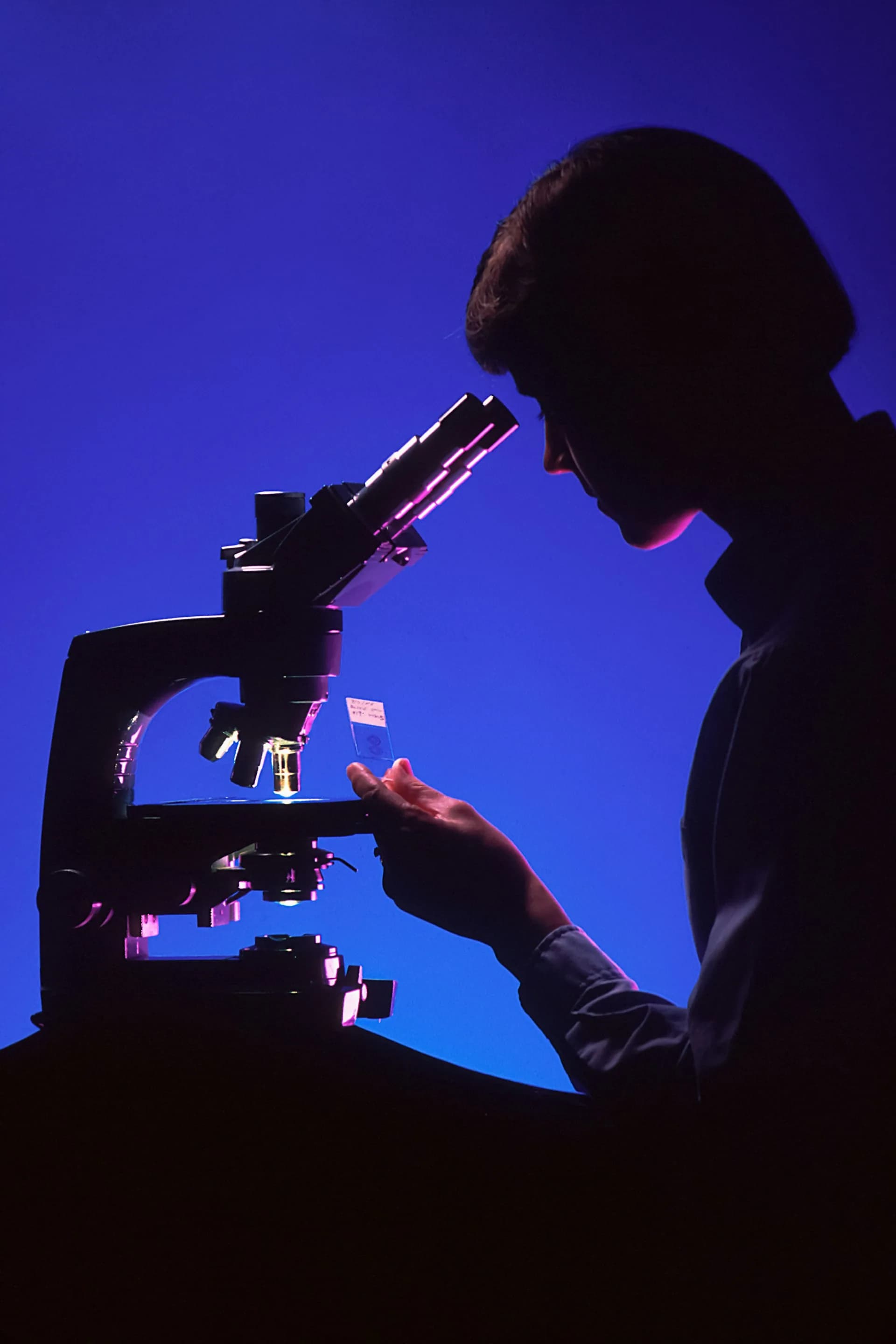 Équipe en laboratoire
