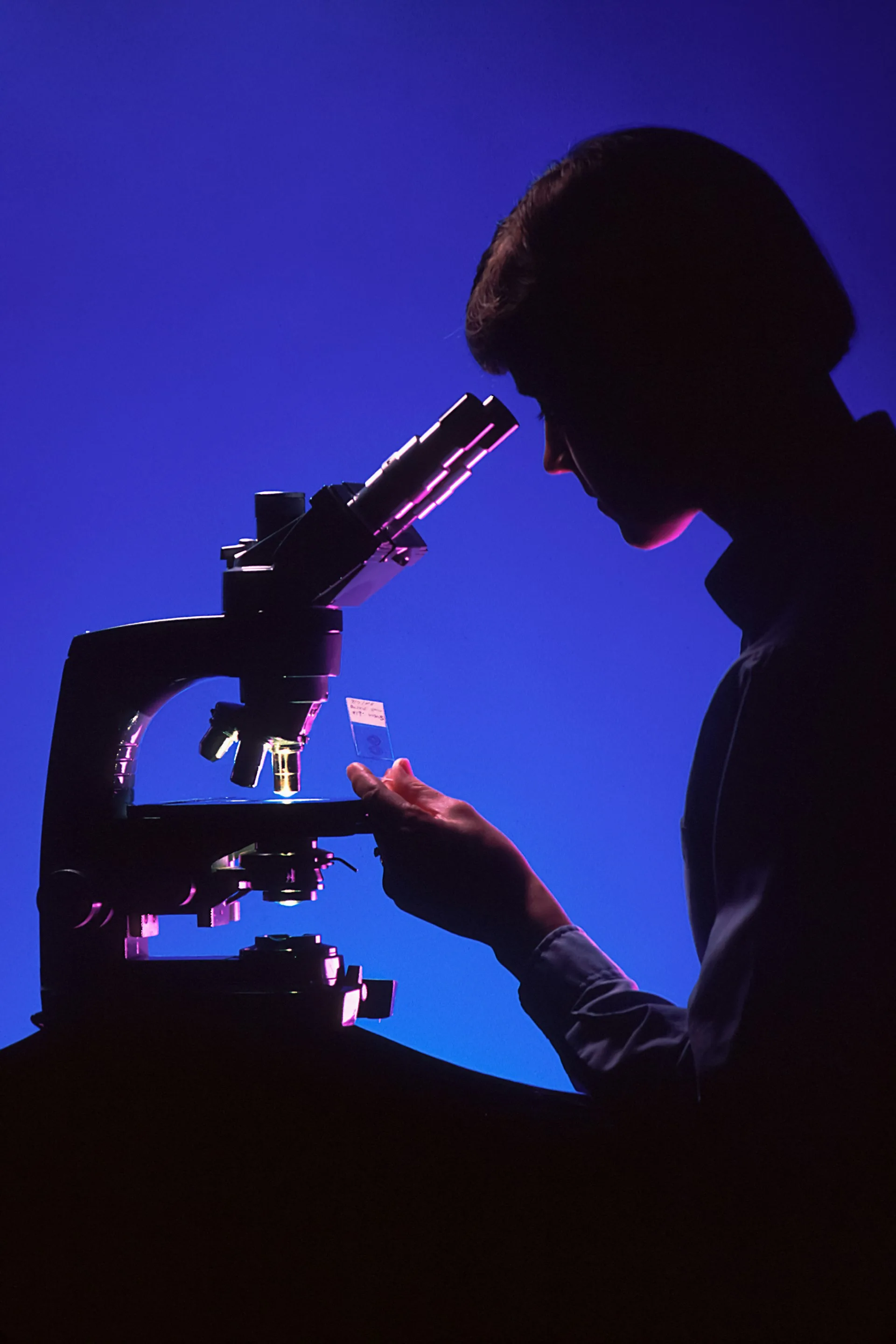 Équipe en laboratoire